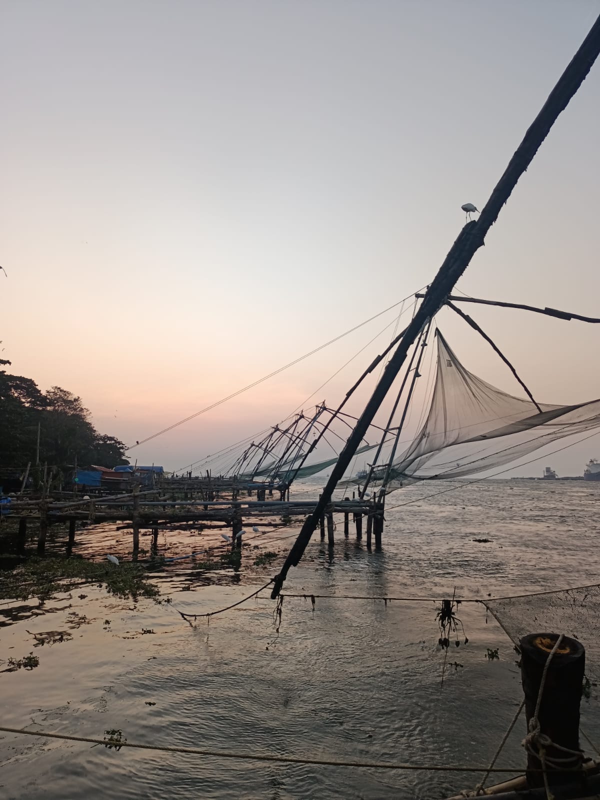 whatsapp image 2025 12 01 at 14.47.50 (2)