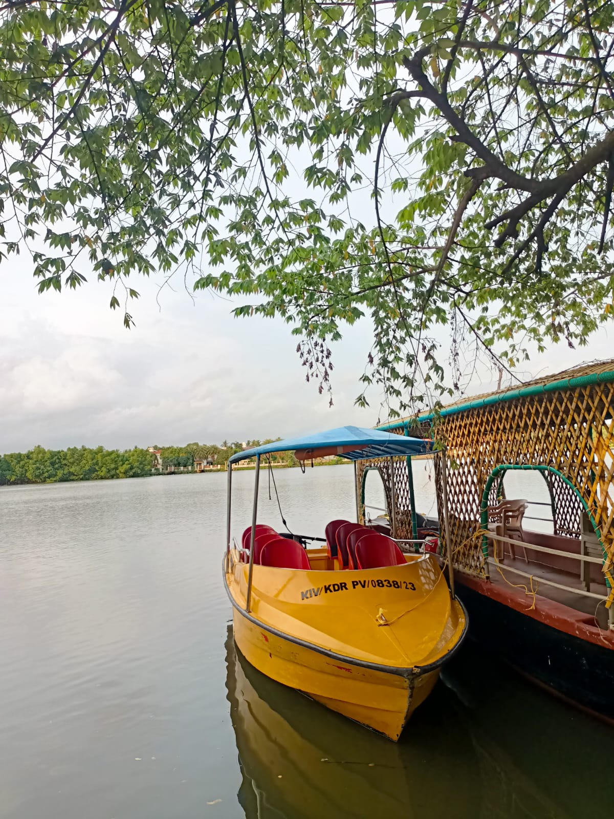 whatsapp image 2025 12 01 at 14.47.52 (1)